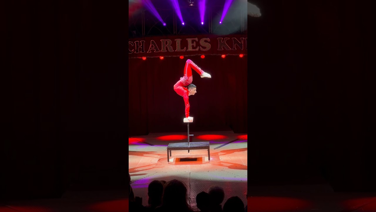 Lorenzo Bernardi Contortionist- Vogue  Coreographer: Irina Rizaeva