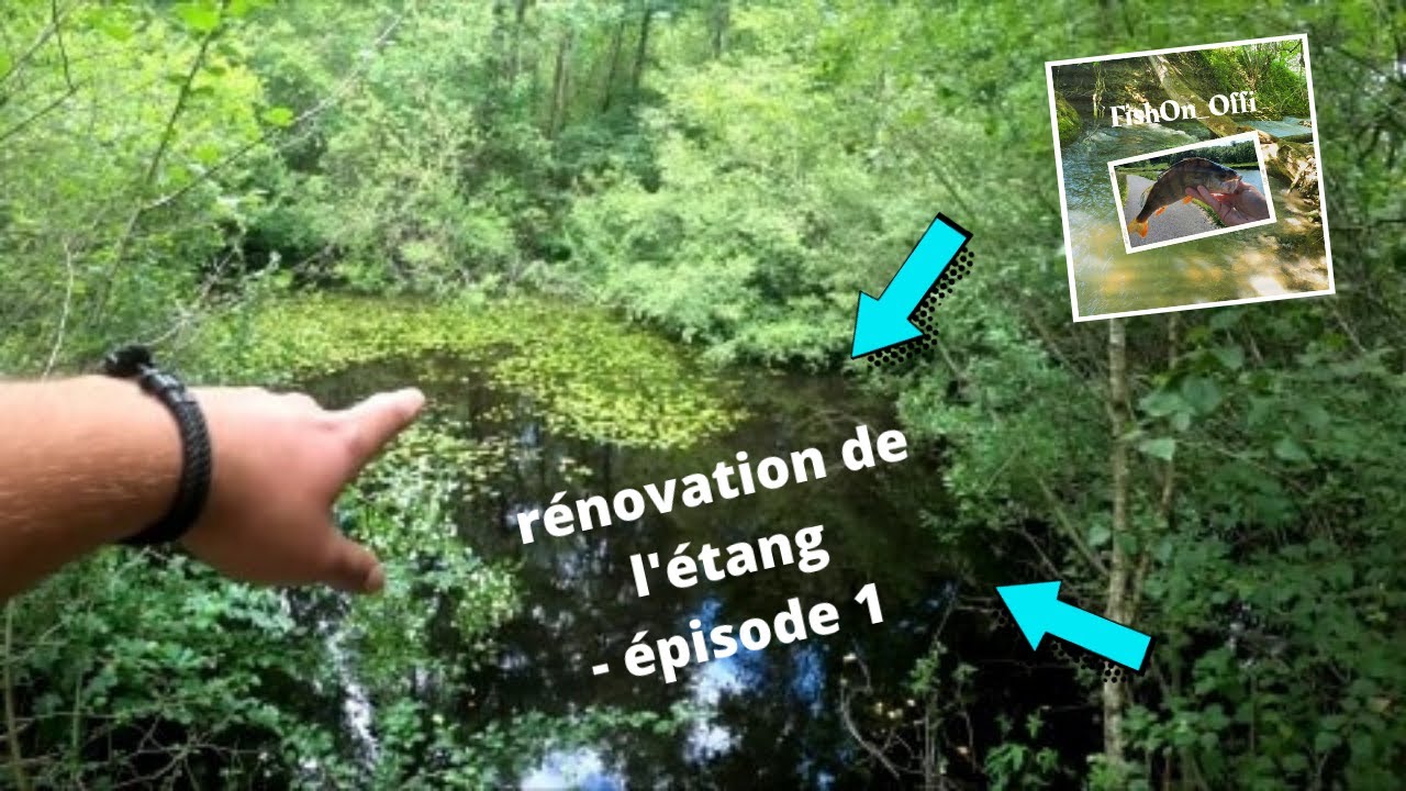 Rénovation d'étang - Épisode 1 - Découverte et Entretiens