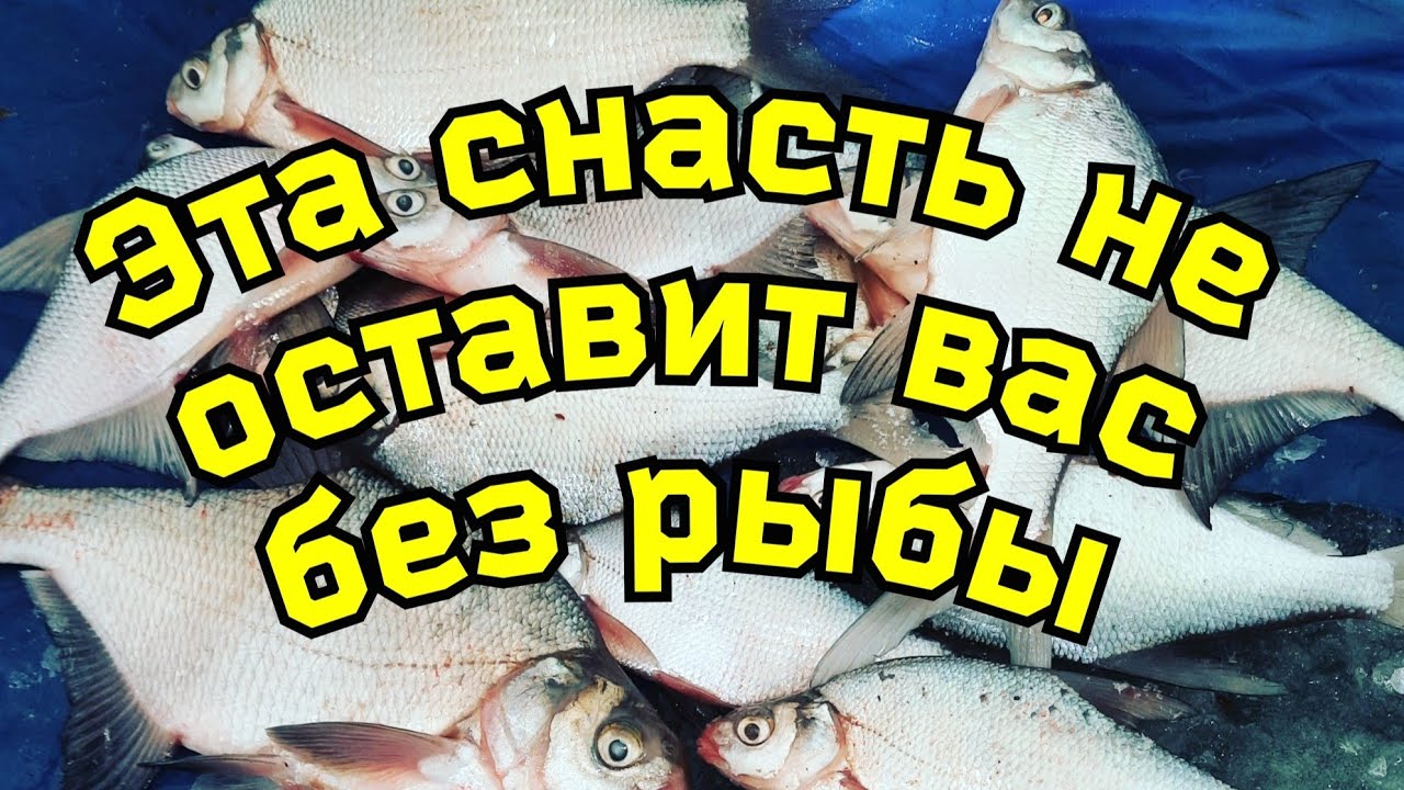 Уловистая снасть