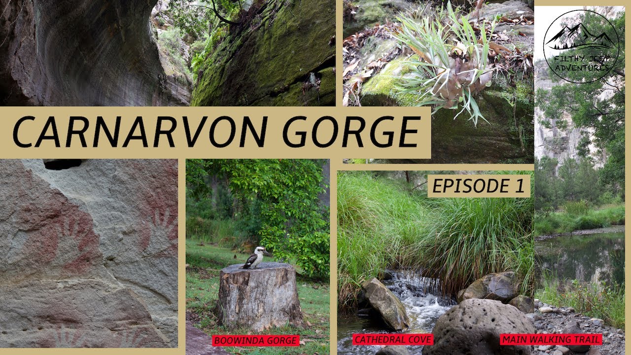 Ultimate Hiking Challenge: Attempting a 3 day hike in a single day - Carnarvon Gorge Episode 1