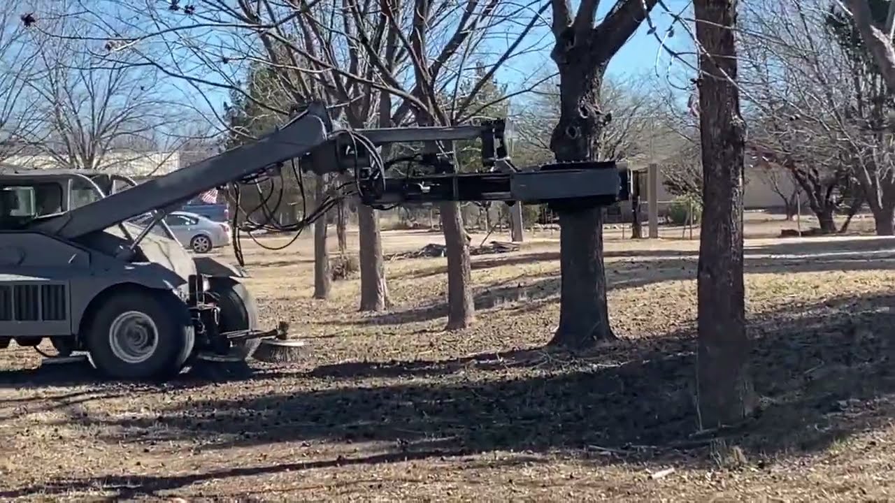 “Big Pecan Harvest on Our Small Scale Farm