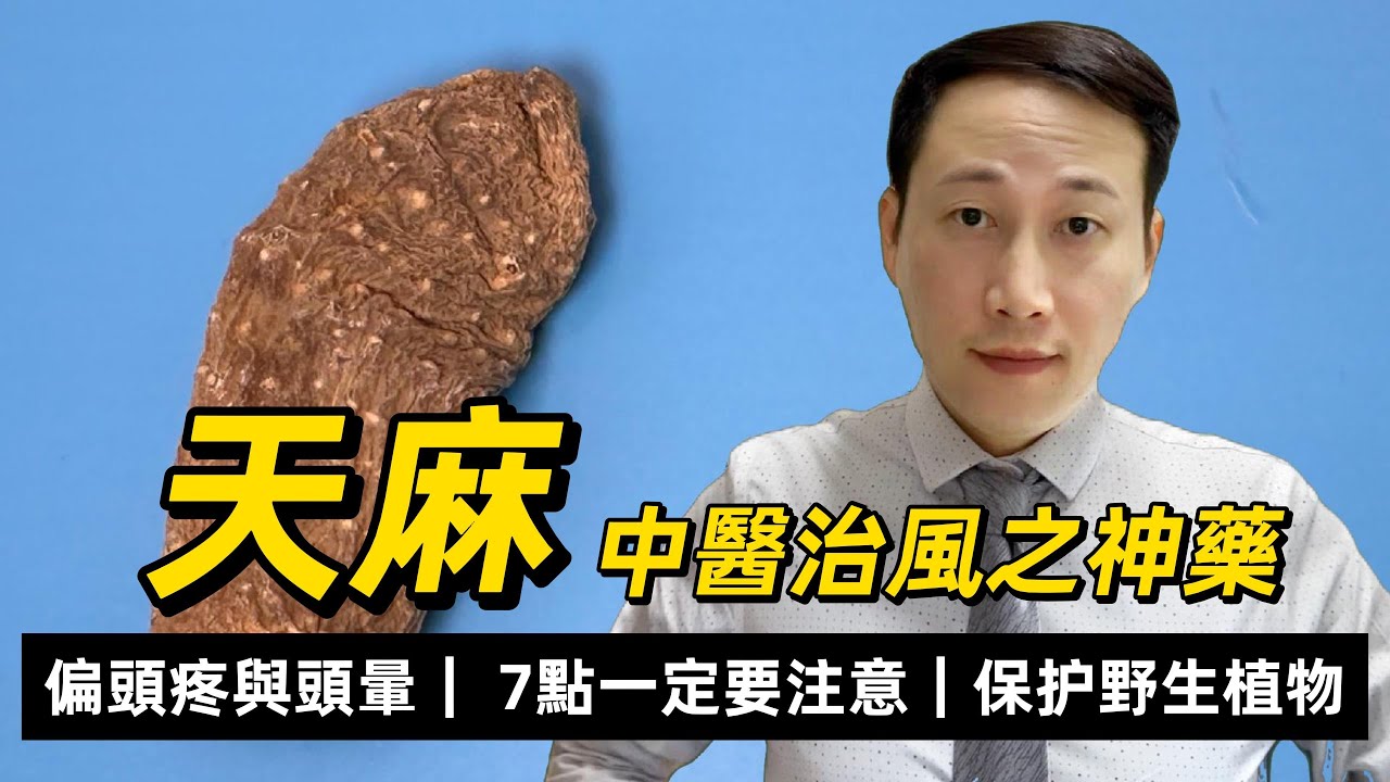 天麻，中醫治風之神藥，食用前要注意這7點，偏頭疼、頭暈是不是就用天嘛呢？如何挑選天麻呢？