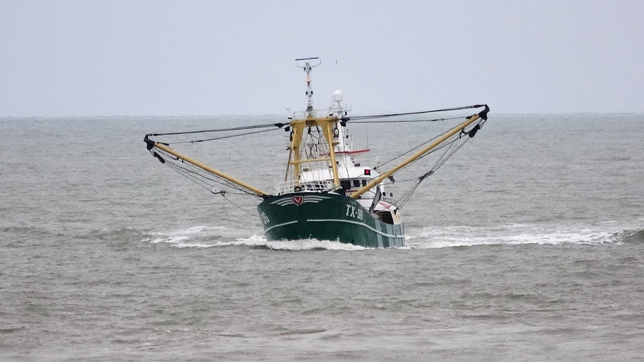 TX 36 jan van toon inkomend en aanmeren. Scheveningen 4-4-2021