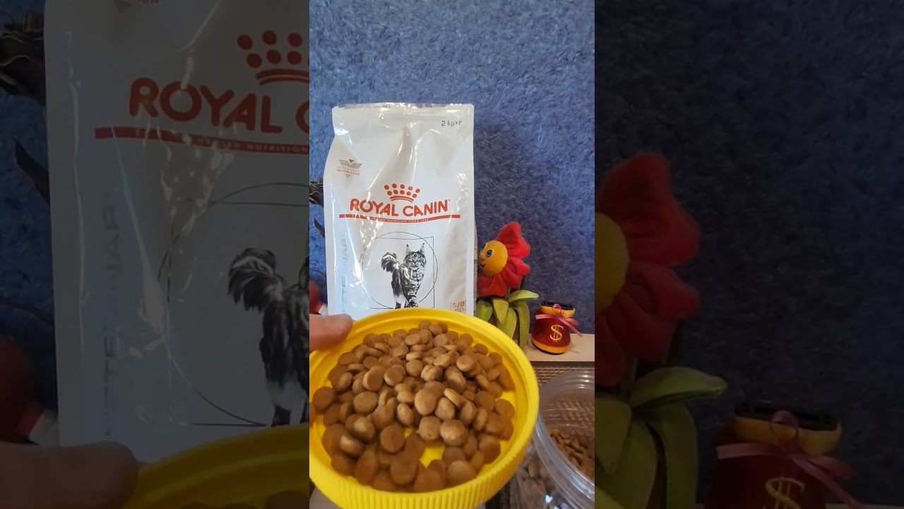 Royal Canin куда дальше?