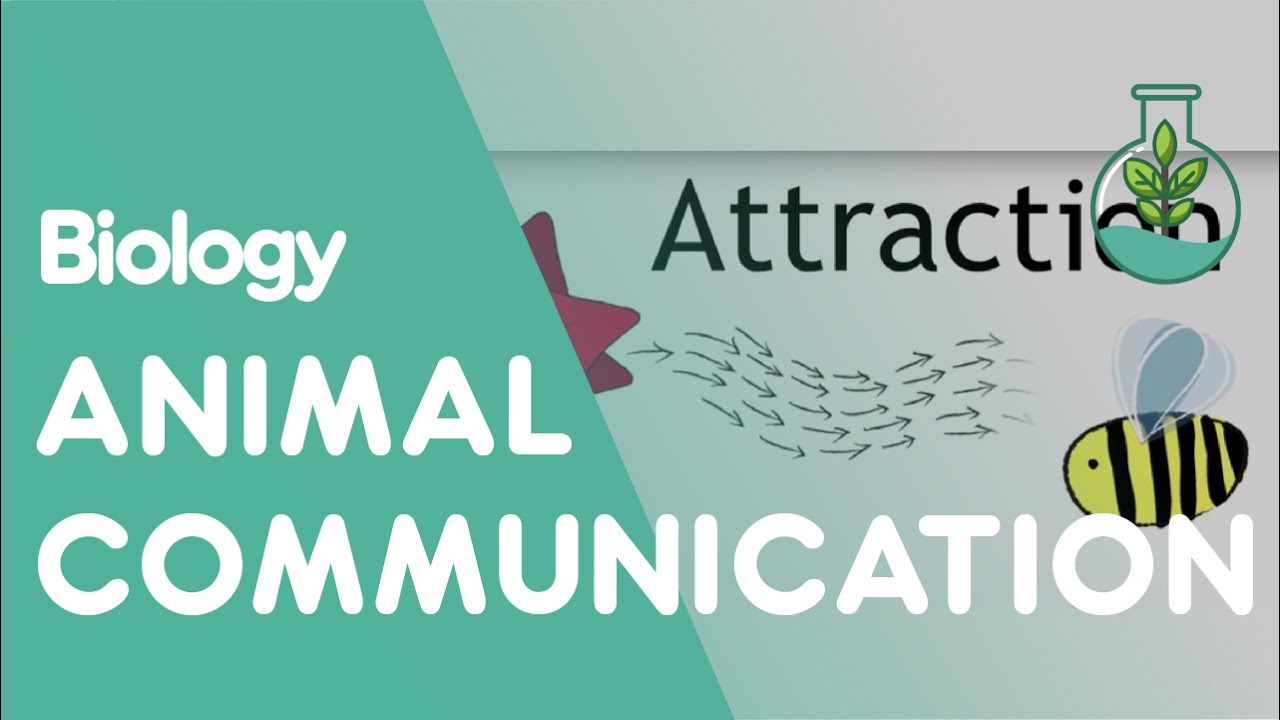 Animal Communication | Ecology & Environment | Biology | FuseSchool