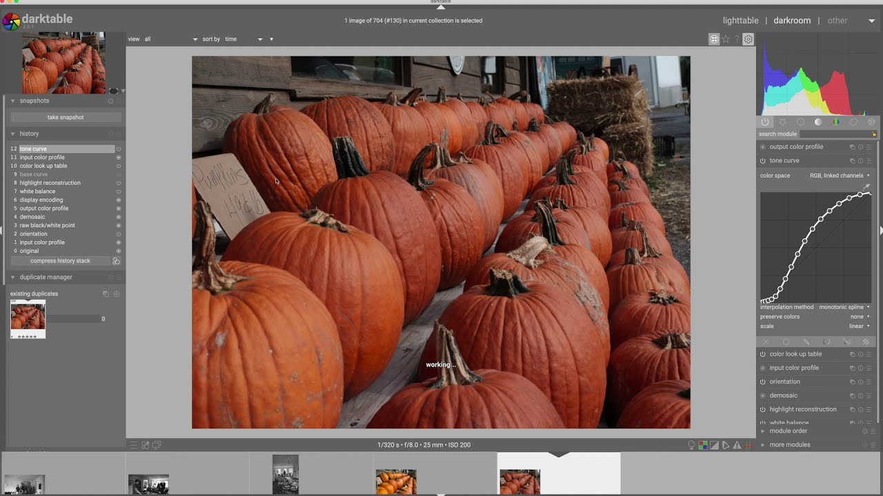 Workflow Walkthrough #17 - Using Styles in Darktable