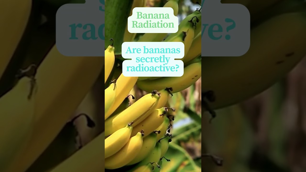 maybe some banana #facts  #learning #share