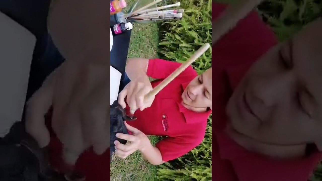 Elefante técnica brocha seca