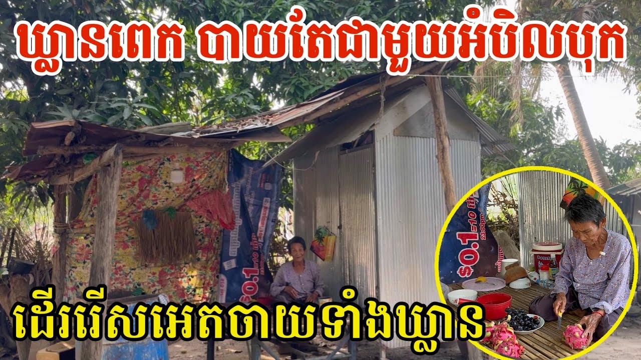 #2979 យាយឃ្លានពេក ពិសារបាយតែជាមួយអំបិលបុក គ្មានកូនចៅ | សម្បត្តិជន