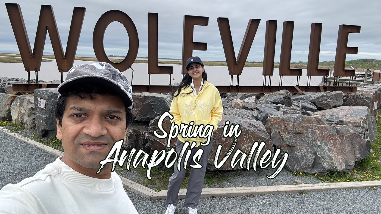 Spring Awakens in the Annapolis Valley 🌸 | Apple & Peach Blossoms, Wolfville & Blomidon