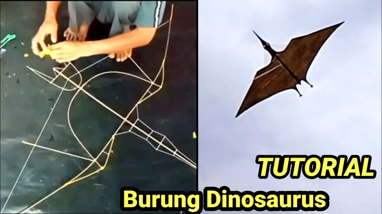 DIY Cara Membuat Layangan Burung Dinosaurus ( Dari Bambu )