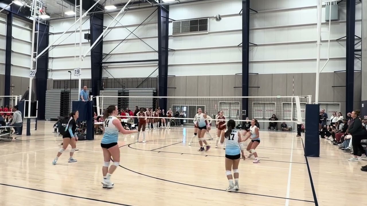 Vibe 16 vs Omni 15 National set 2