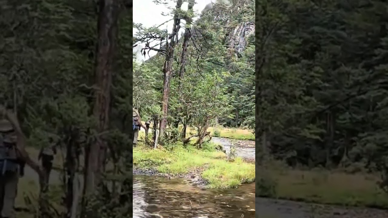 Pristine environment