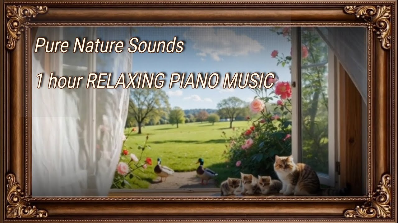 Cozy Spring Window | 1 HOUR Calm Piano & Birds Singing for Stress Relief