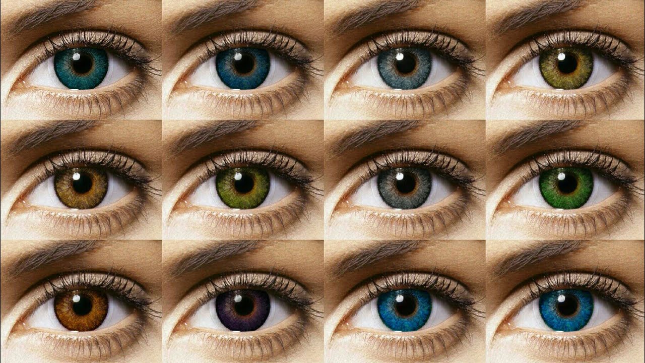 Freshlook Colorblends All 12 Colors Contact Lens Review