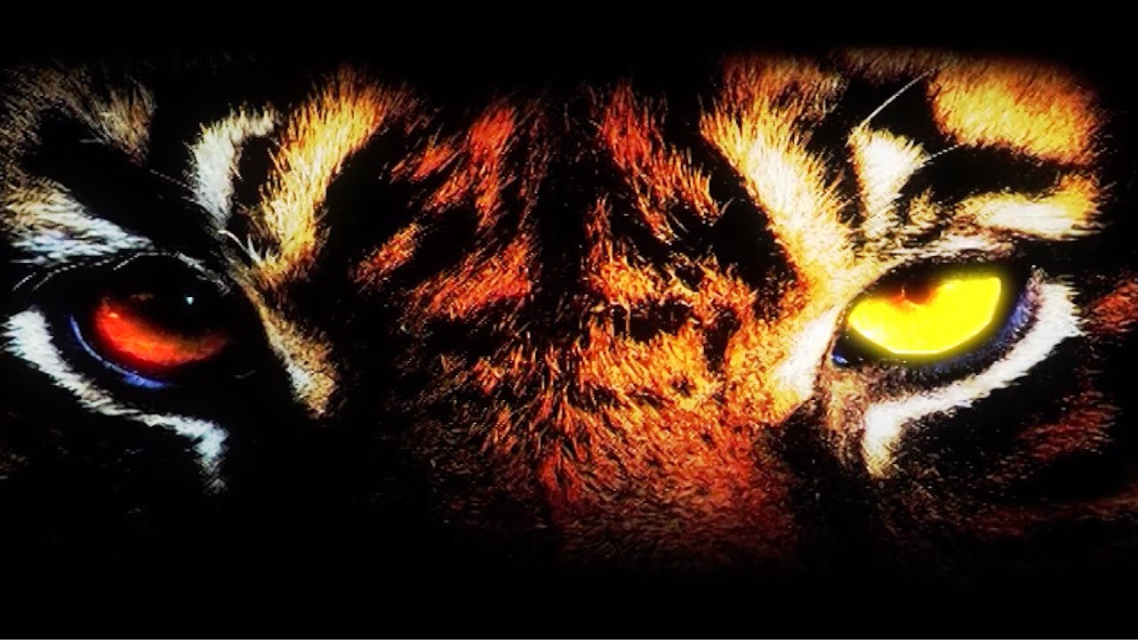 3 Million Views | Lights, Camera, KC Stadium