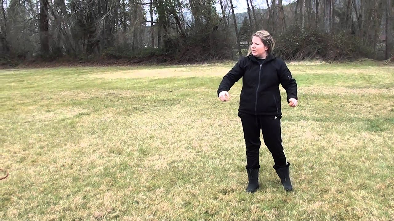 Overcoming dog/dog aggression (reactivity)