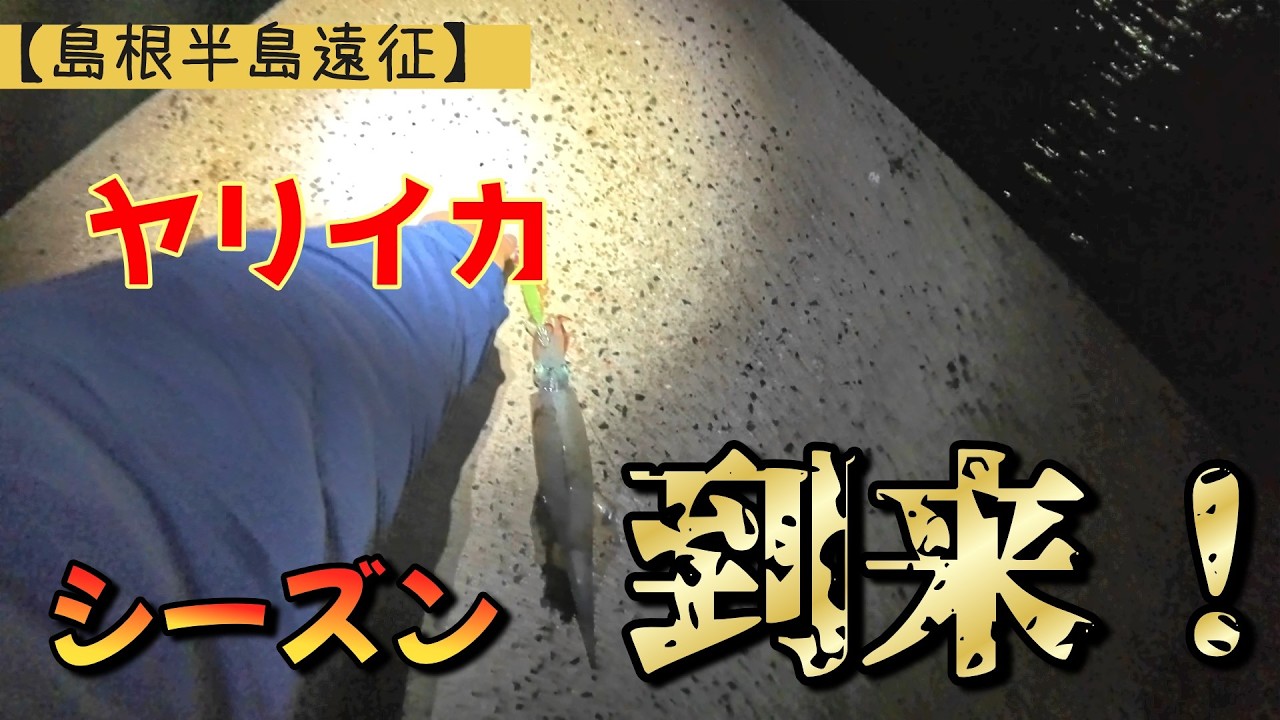 冬の風物詩！ヤリイカを・・【山陰遠征】