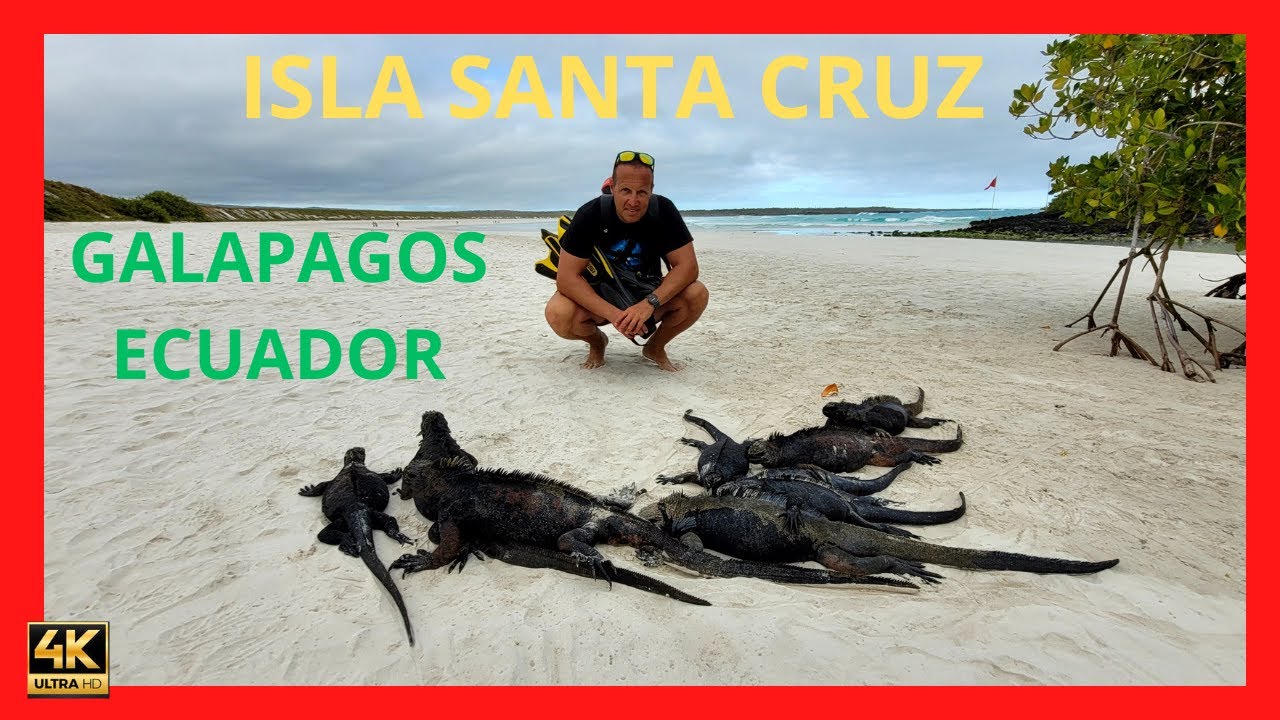 ISLA SANTA CRUZ de GALAPAGOS 2025, ( ECUADOR)