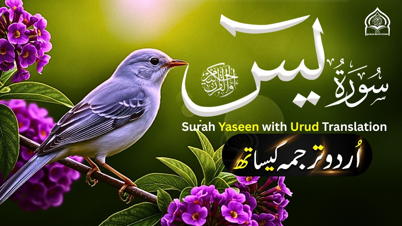 Surah Yaseen | Full Recitation With Urdu Translation | EP-149