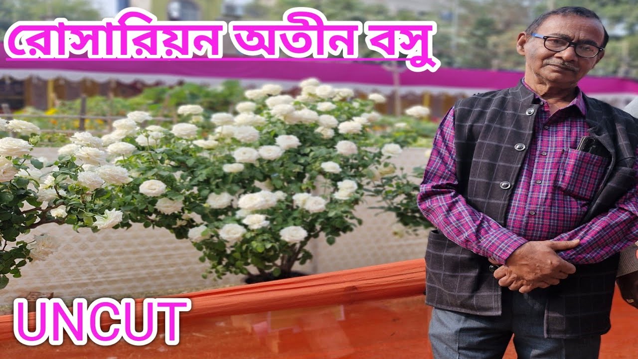 Rosarian Atin Basu|Uncut Video|খড়দহ্ পুষ্প প্রদর্শনীর মেলা থেকে|পুষ্পকাহন|অতীন বসুর সাক্ষাৎকার |