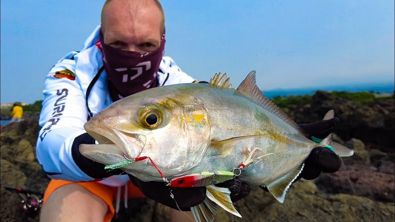 Amberjack Fishing On Jeju Island | 방어 낚시 제주도