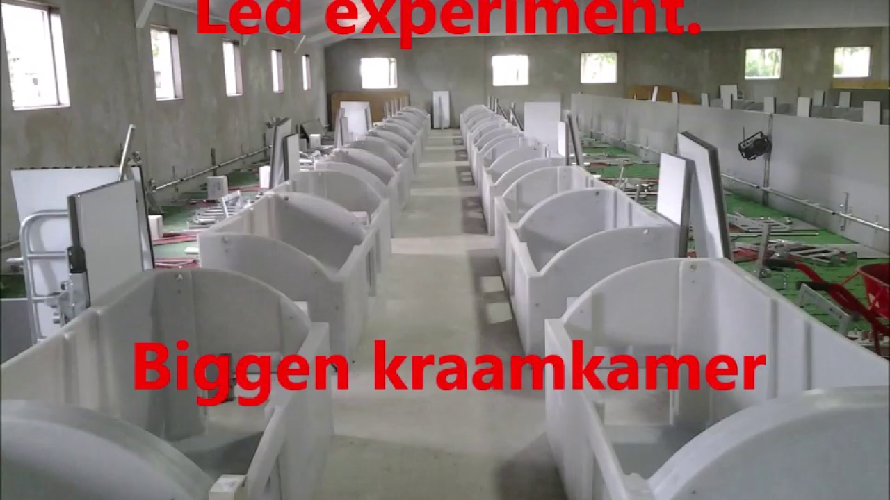 Kraamkamer biggen - Biggen crèche