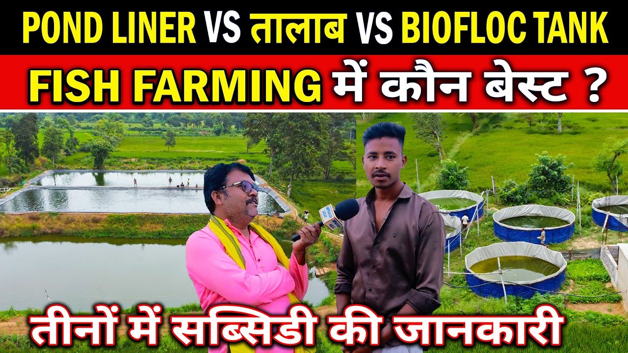 POND LINER VS TALAB VS BIOFLOC TANK FISH FARMING।  Fish FARMING ME SUBSIDY ।। #omprakashausar