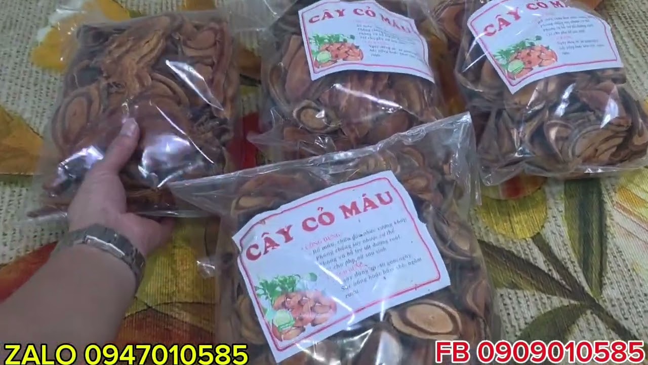 CÂY CỎ MÁU
