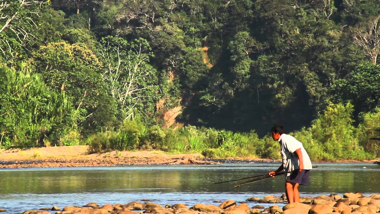 Vida Tsimane'