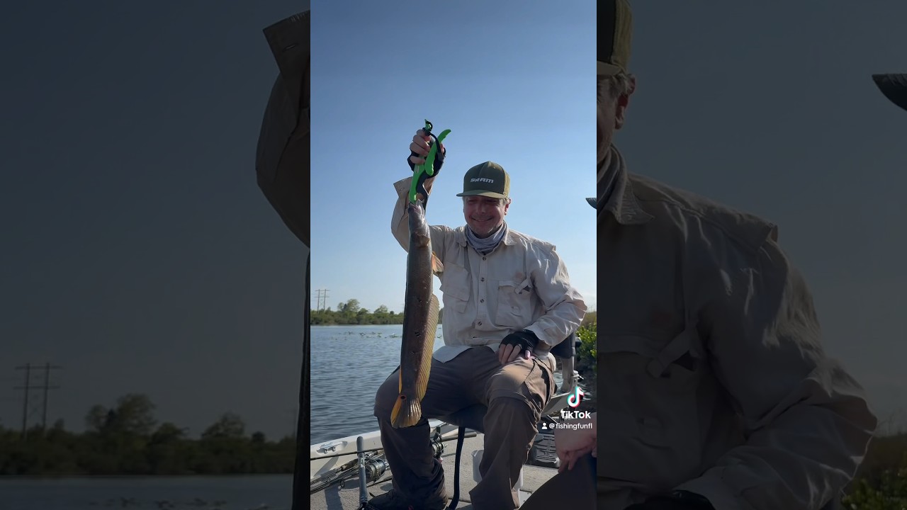 Join us for an unforgettable weekend fishing tour in Everglades #evergladesfishing