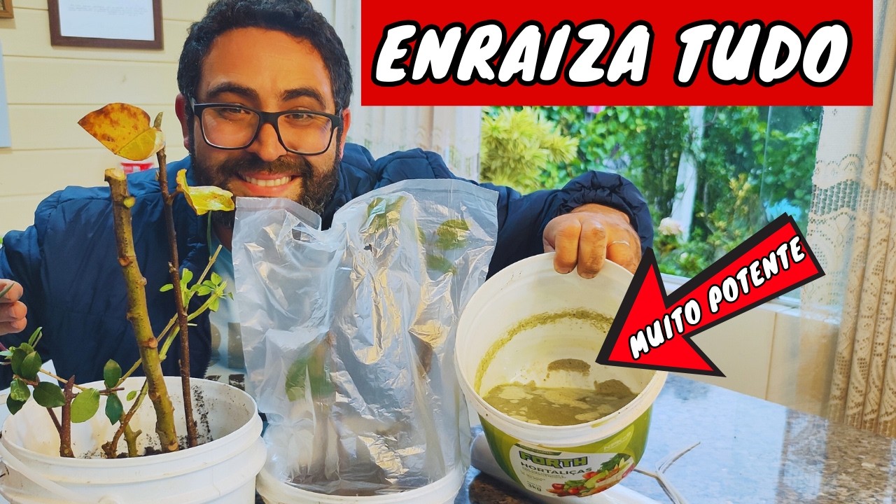 ✅O ENRAIZADOR mais POTENTE USADO na AGRICULTURA (Guia Passo a passo )
