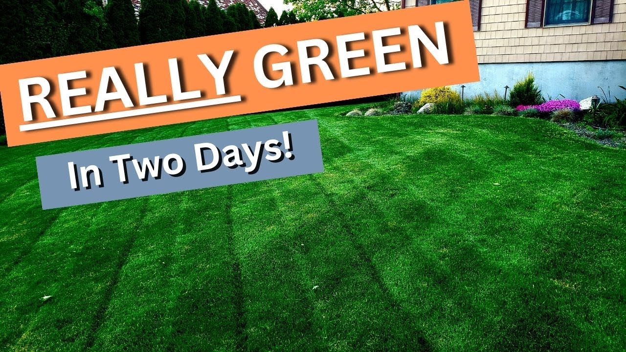 How to get a REALLY GREEN lawn with a Double Dark application from NEXT liquid products. Episode 7