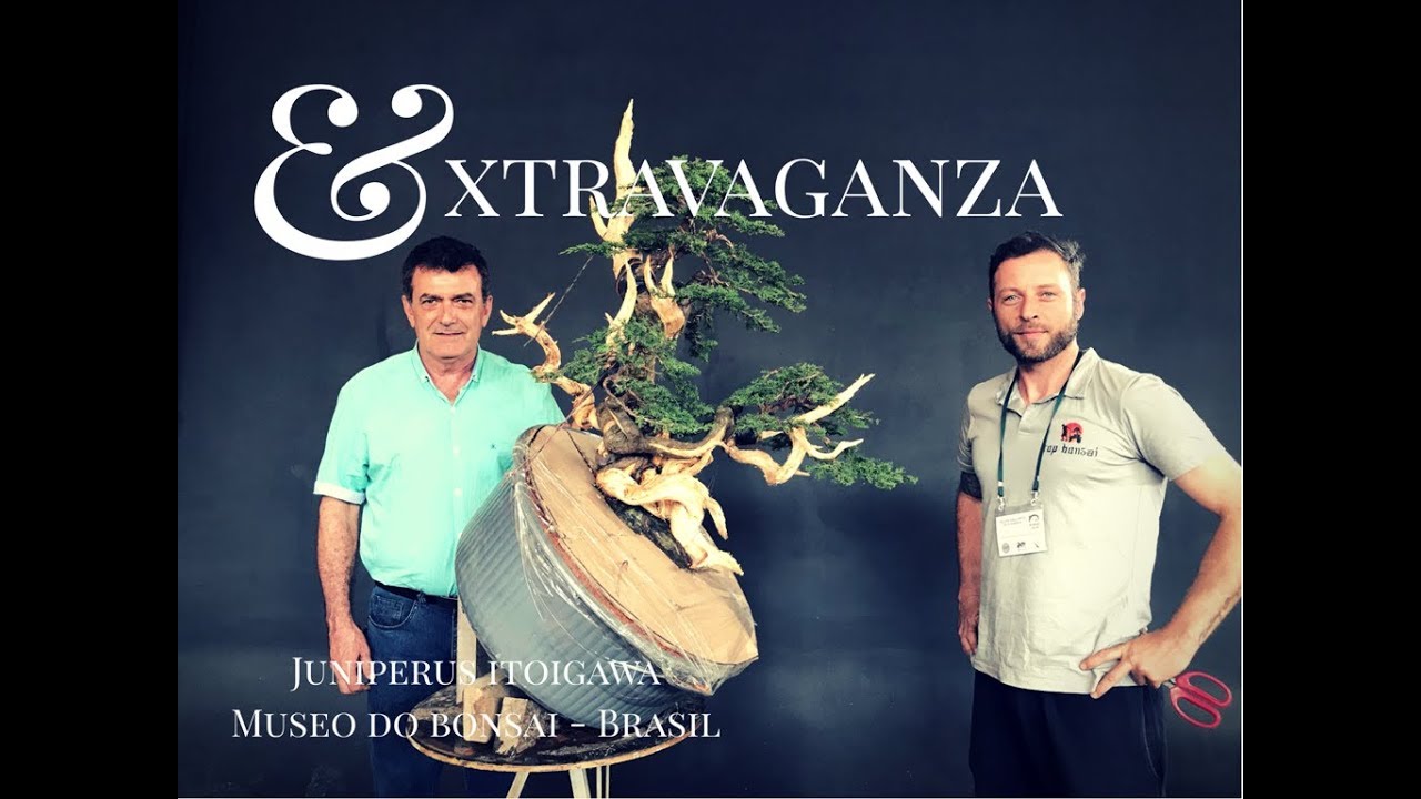 Extravaganza