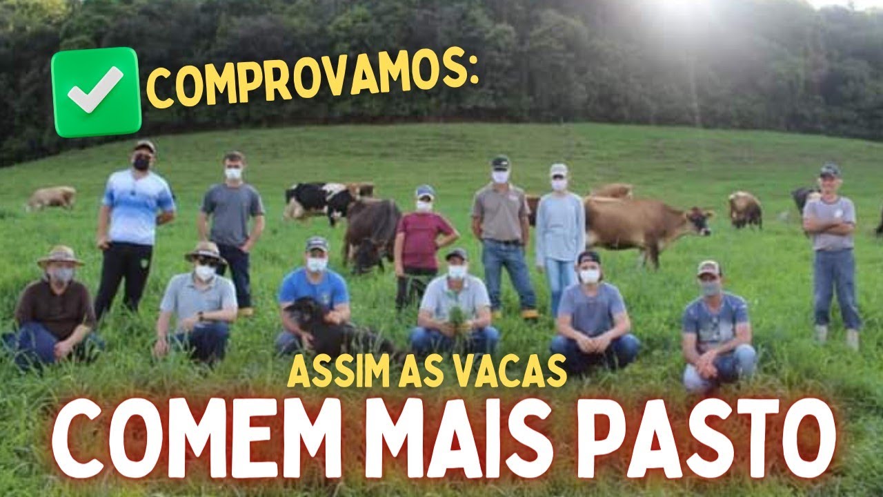 Aplicamos Rotatínuo e Isso Aconteceu… (6 Produtores revelam!)