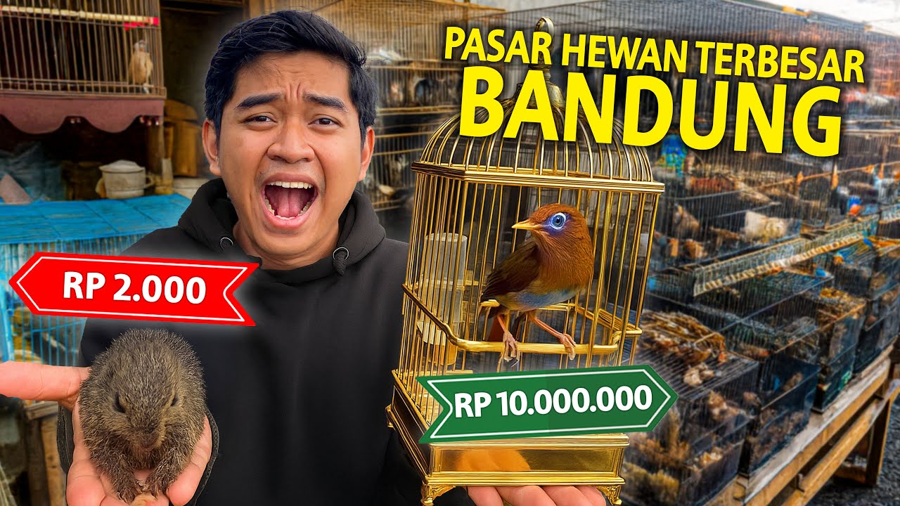 SIDAK HEWAN PALING MURAH DAN PALING MAHAL YANG ADA DI PASAR HEWAN TERBESAR DI BANDUNG! LENGKAP PISAN