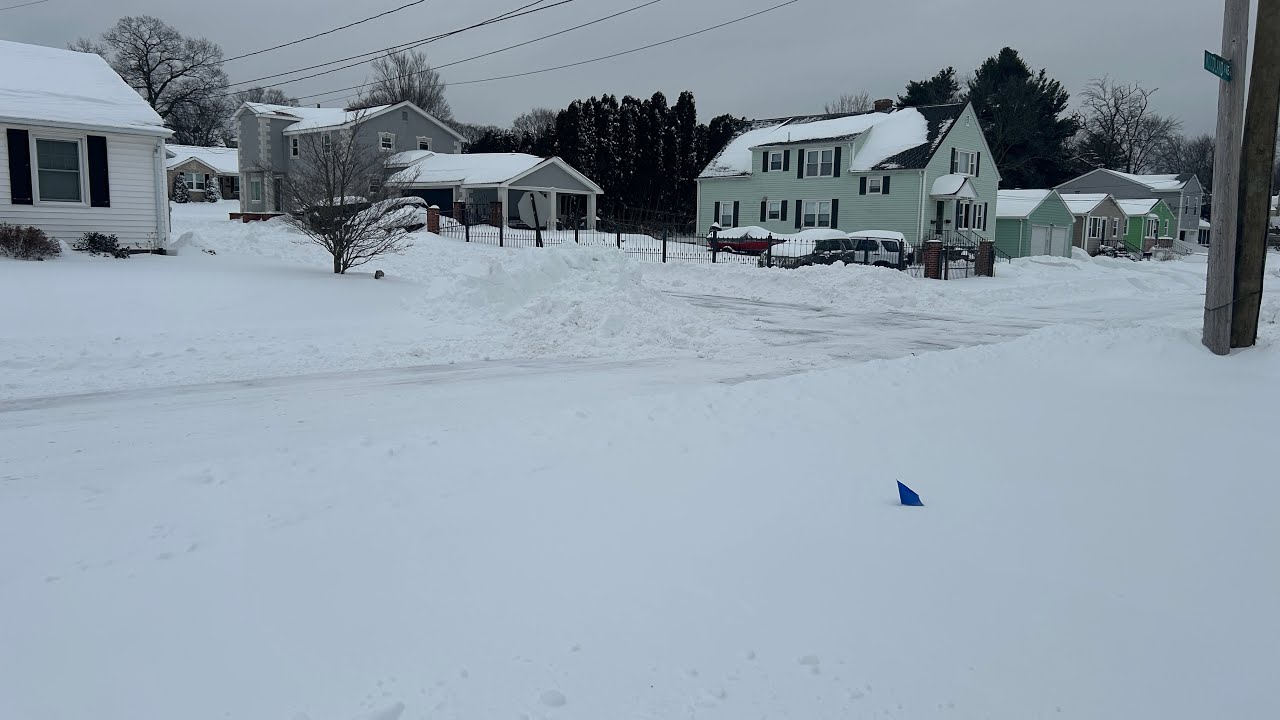 POPUP LIVE! Live Look-In At the BLIZZARD! ❄️🌨️🐶