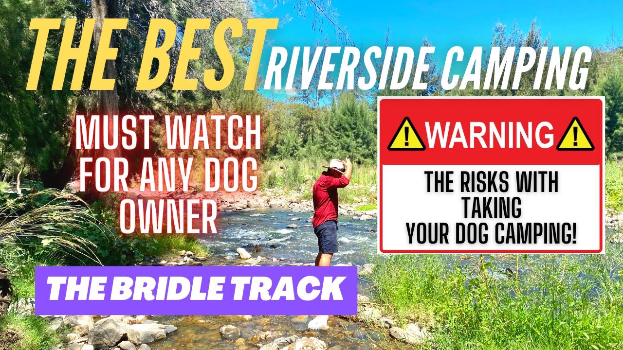 The Bridle Track | The Best Riverside Camping | Our Dog Nearly Dies!