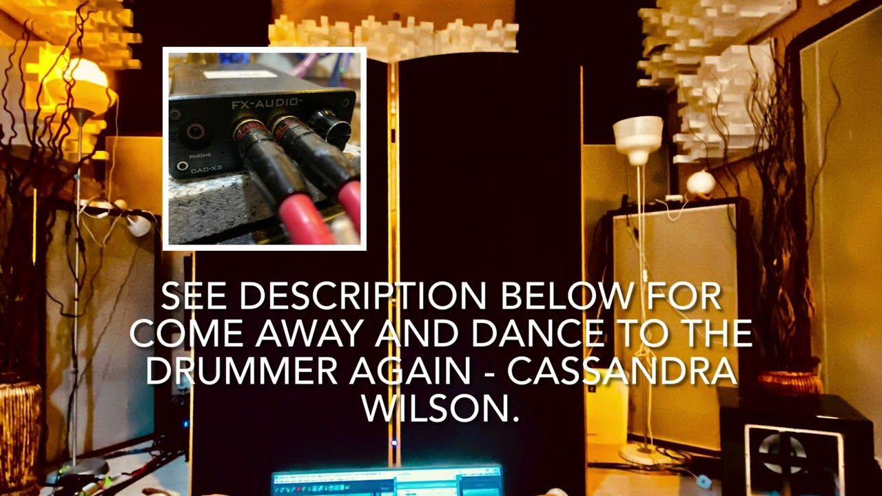FX Audio DAC - X3 sound sampler.