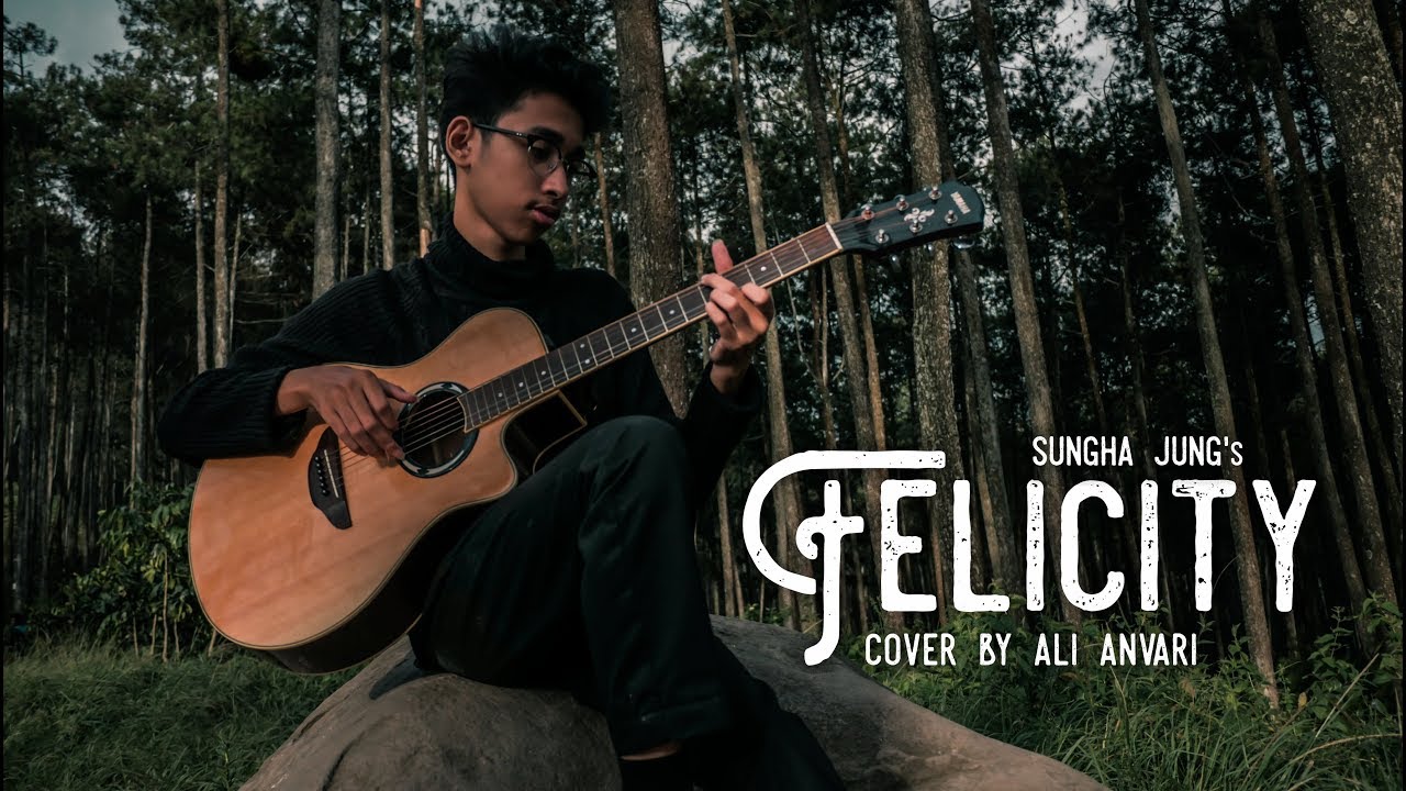 Sungha Jung - Felicity (Cover by Ali Anvari)