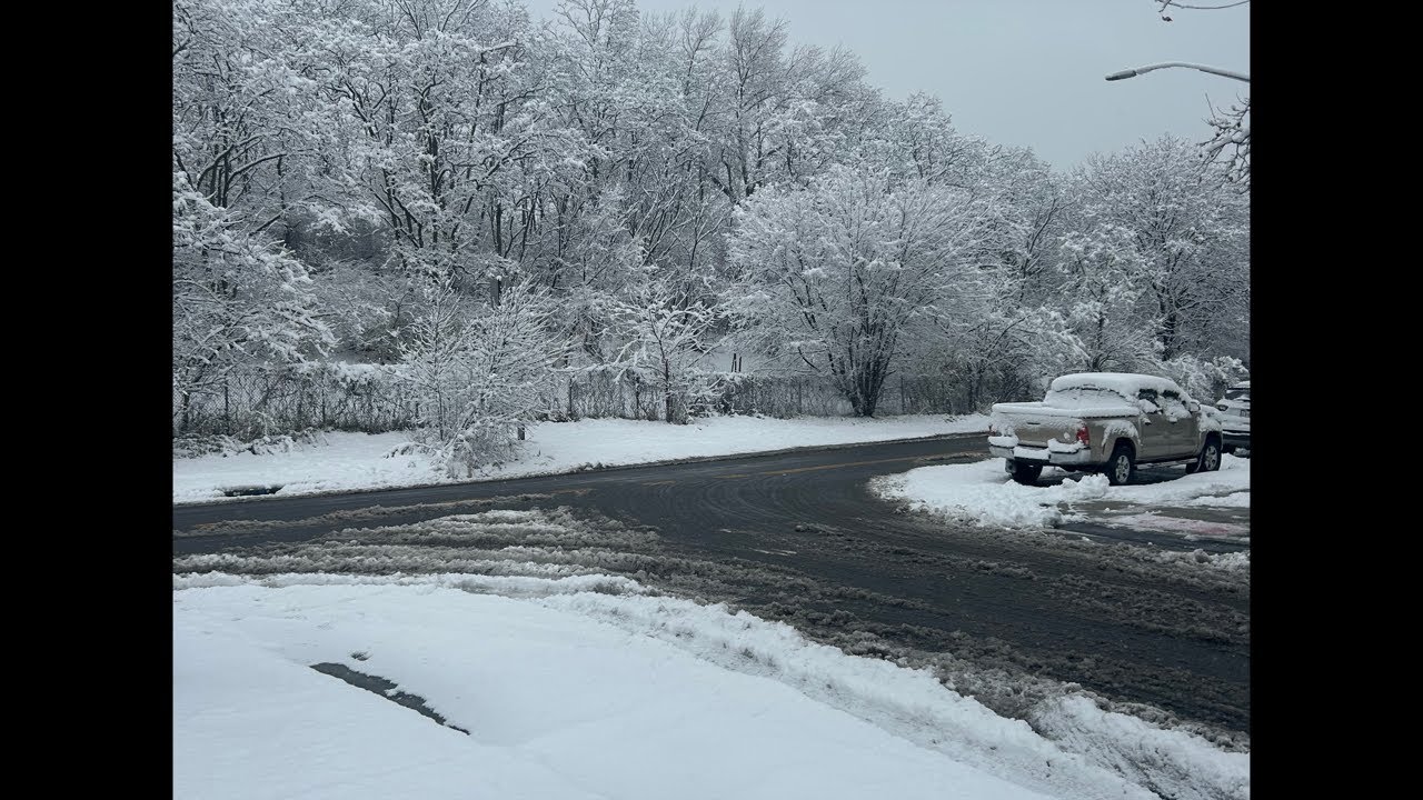 SNOW NYC CalisthenicsLifeNYC is live! #snow #newyork #viral #fyp
