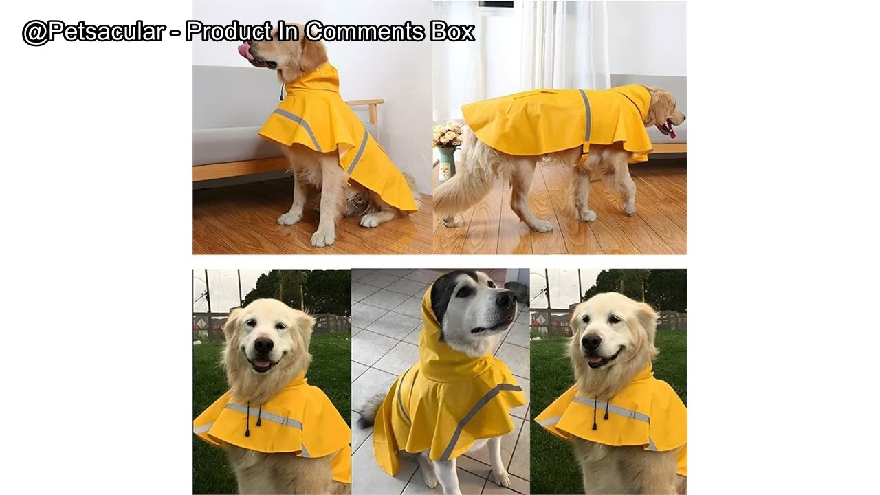 In this video, we review the NACOCO Large Dog Raincoat, a