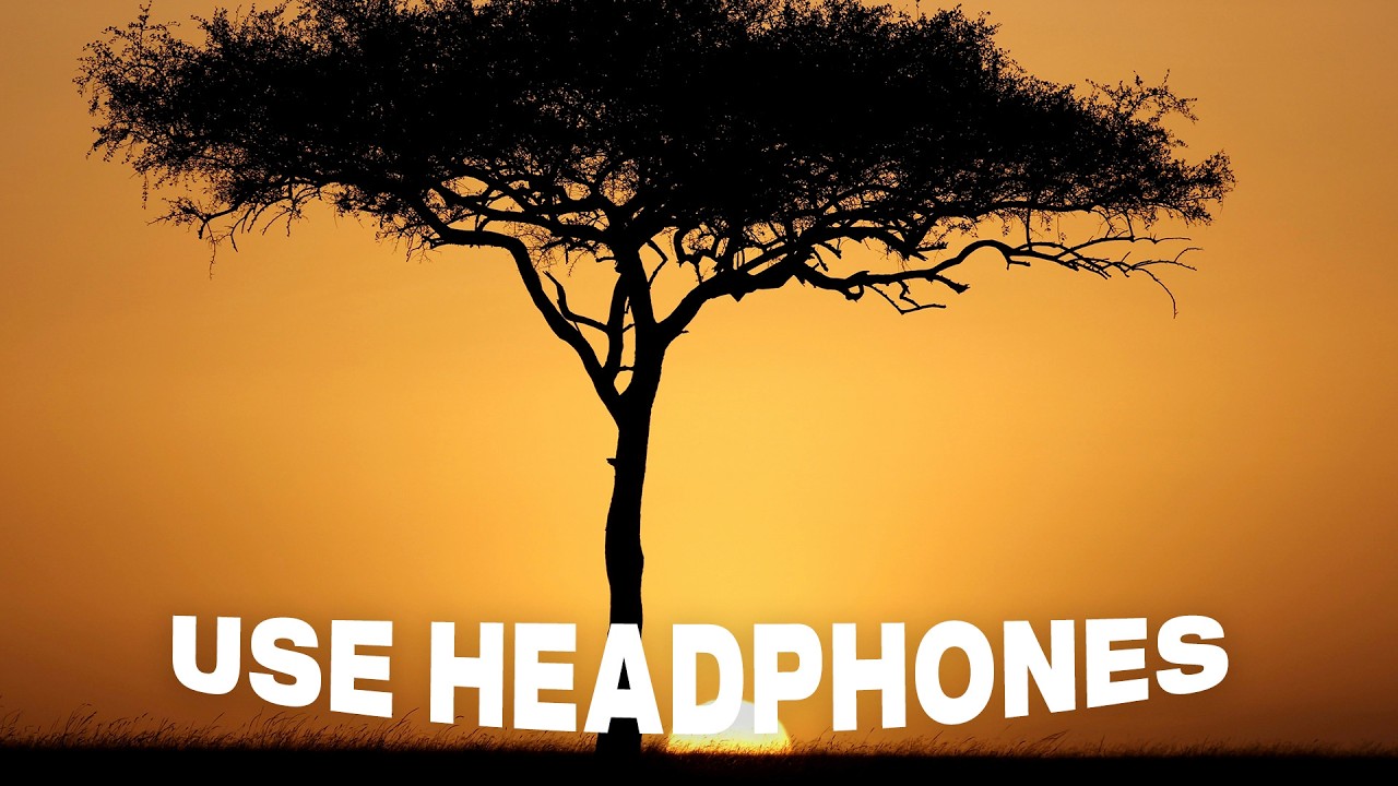Papaoutai (8D AUDIO) Afro Soul | Stromae