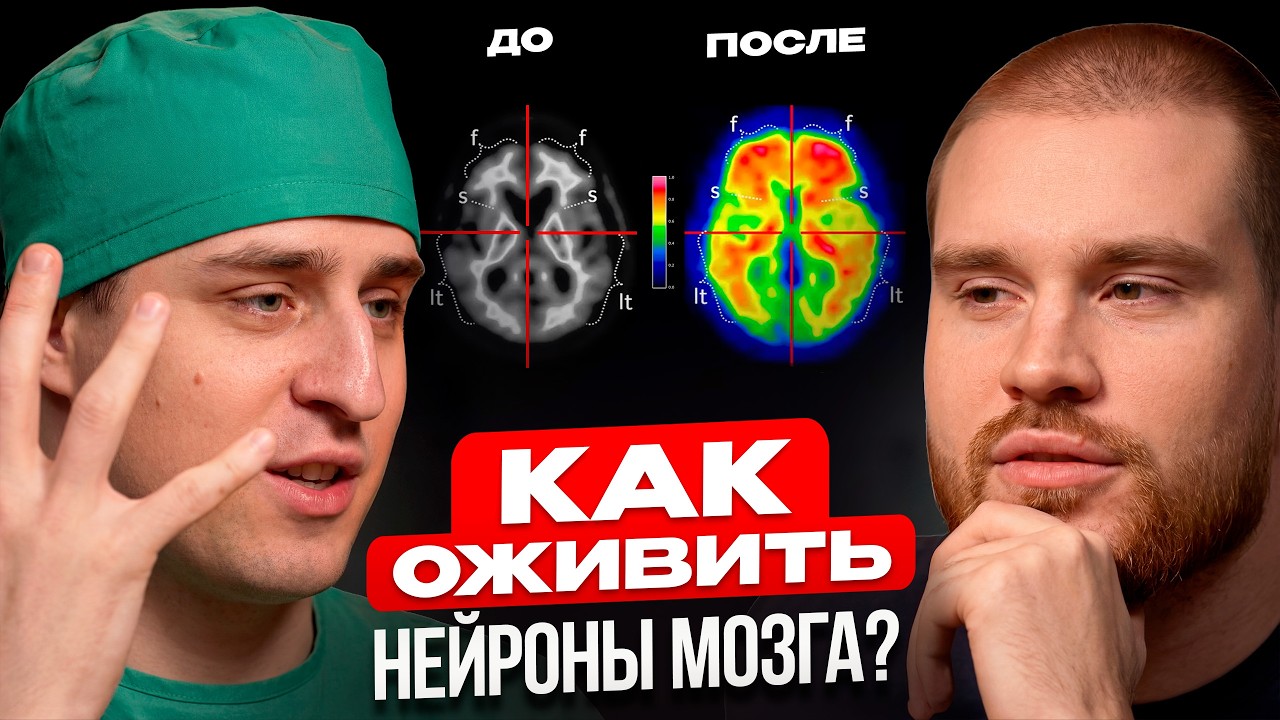 ЧТО РЕАЛЬНО УБИВАЕТ ТВОИ НЕЙРОНЫ? От чего деградирует интеллект? Нейробиолог Владимир Алипов