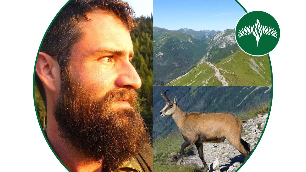 Vlog 14 - Rondreis Polen (deel 2)
