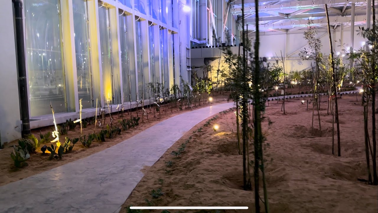 A visit to Forestry Belt, Al Samha, Abudhabi