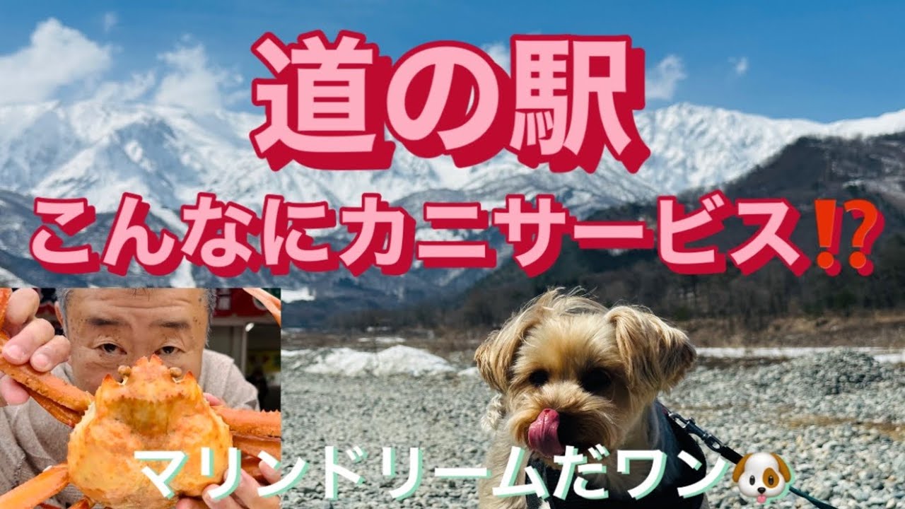 【キャンピングカー】れお号で行く道の駅巡り　マリンドリーム能生は凄い⁉️