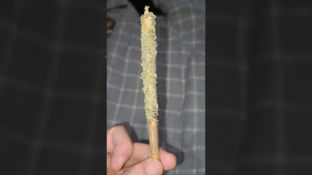 cali joint with extract and a little sprinkle of cali all over 🤣🤙👌 #cali #highlife #weedlife
