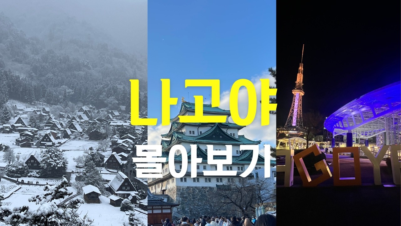 나고야 겨울여행 몰아보기 | 다카야마 시라카와고 버스투어 | 나고야메시 도장깨기(히츠마부시, 오구라토스트, 테바사끼, 미소카츠)