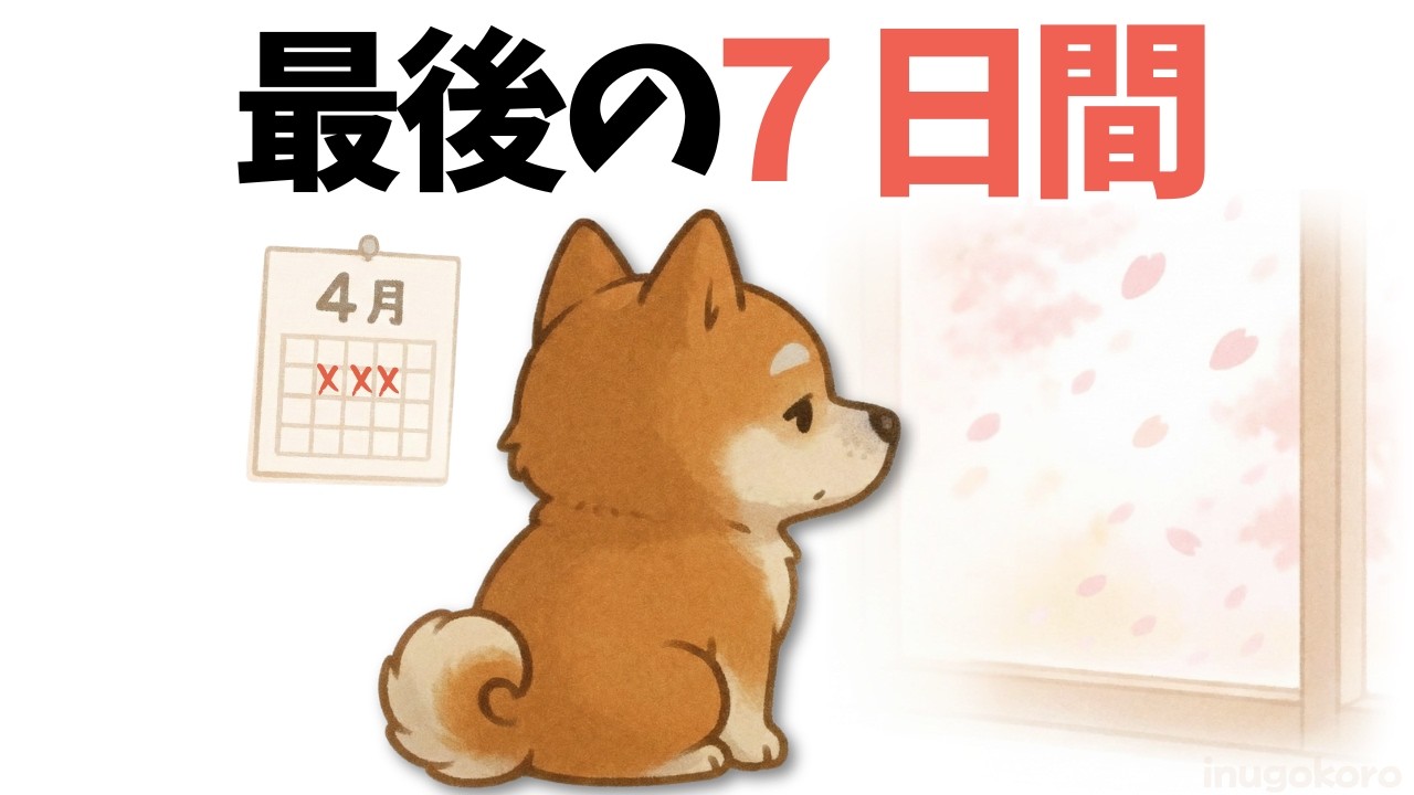 【見逃さないで】虹の橋を渡る前の「最後の7日間」…愛犬があなたに送る7つのサイン
